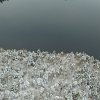 DJI_0072