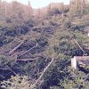 IMG-20151119-WA0020